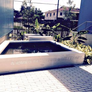 Laura Maloney_SPCA_louisiana_new Orleans _Katrina