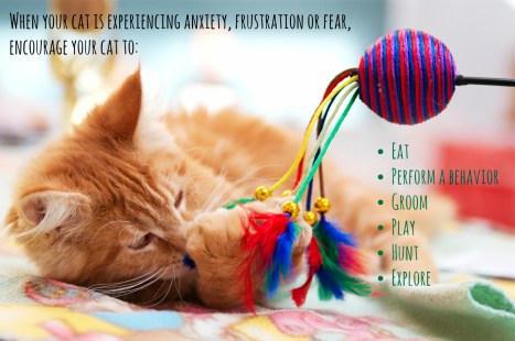 Behaviors that reduce fear