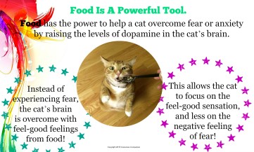 Power of Food_cat fear