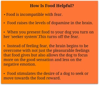 Science of how food helps in dog training