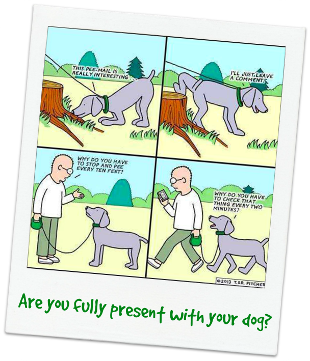 being fully present _dogs_pets