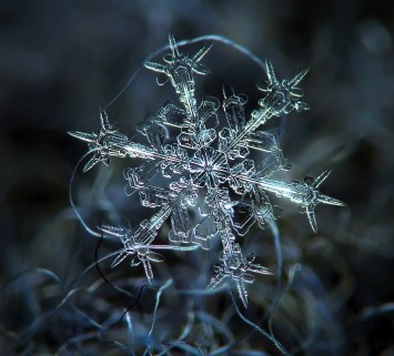 snowflake up close high rez