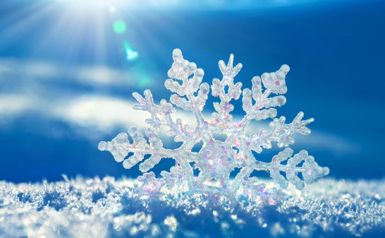 snowflake up close