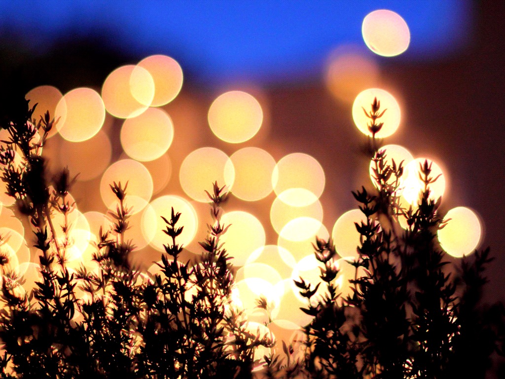 ACIM_new thoughts_no fear_choose love