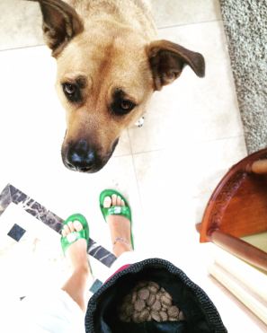 Hocus food_conscious Companion_food as a tool_dopamine