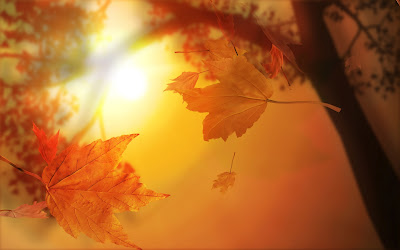 3D-Autumn-1680x1050
