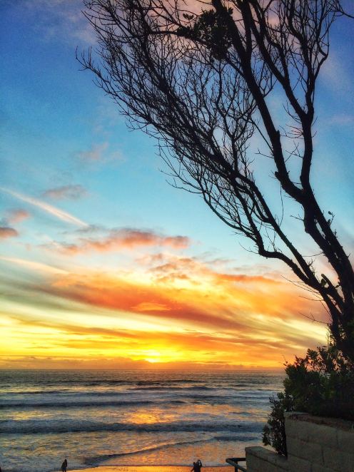 amy-martin-copyright_nature_socal_consciouscompanion-2017-1