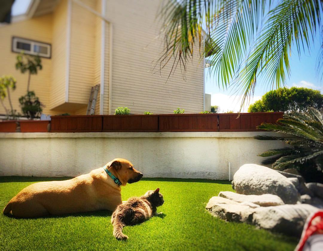 17636765_10155148290196060_4446714999490320064_o