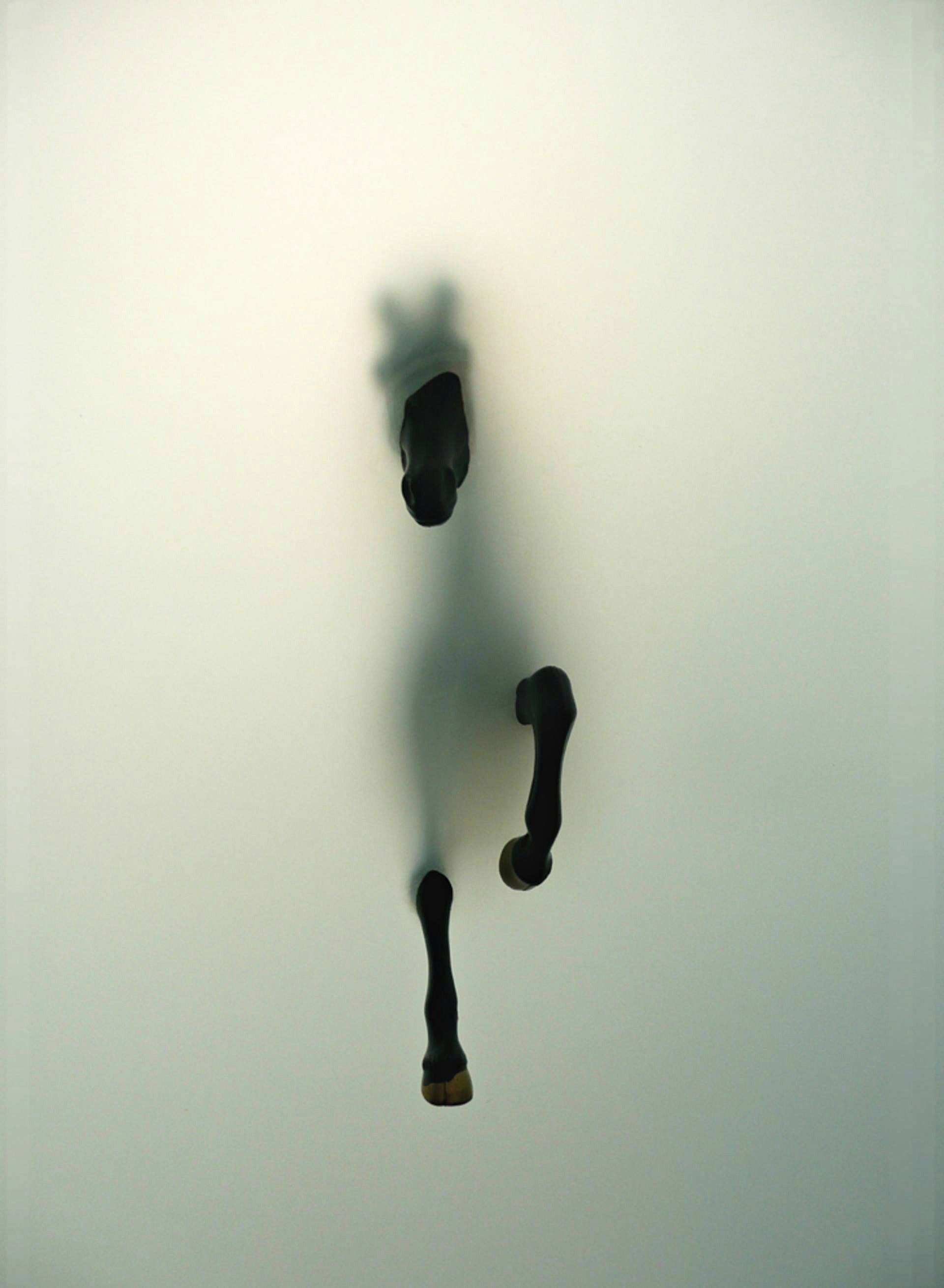 Afterlife_pets_there is no death_horse_dogs_pet death