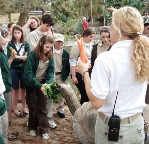 Conscious Companion_force free training_reptile training