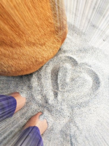Healing_empath_tips_pets_grounding_Conscious Companion_Amy Martin