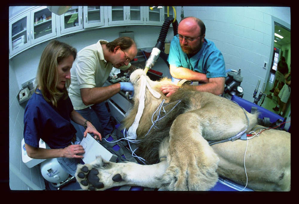 ALL ZOO PICS FROM WORK PC 1445