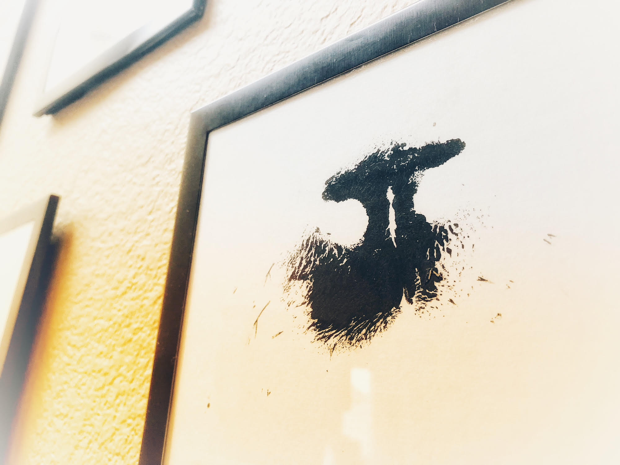 Copyright Amy Martin_Conscious Companion_nose print_lion_big cats_zoo cats