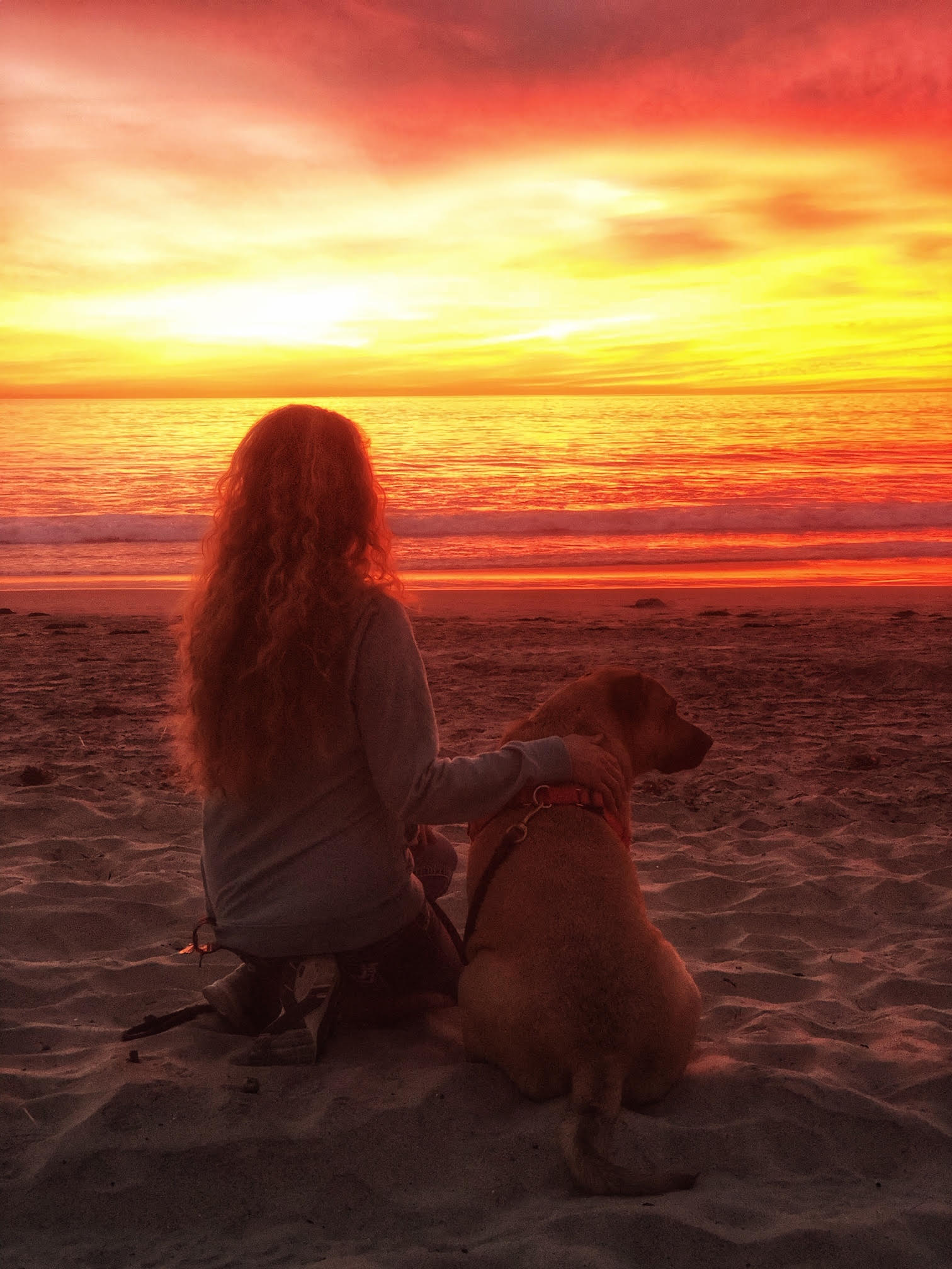 Copyright Conscious Companion 2019